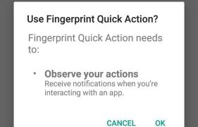 Fingerprint quick action