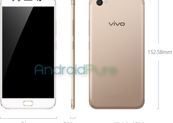 V5plus gold
