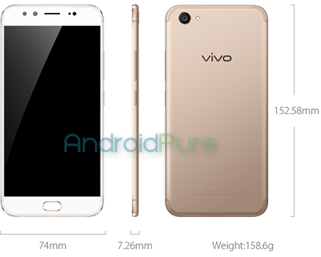 V5plus gold