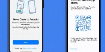 WhatsApp Chat History Transfer