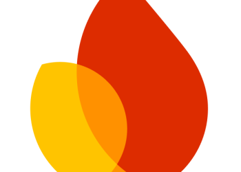 Firebase logo, the service behind the iPhone app crash bug