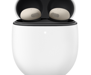 Google Pixel Buds earbuds in their charging case, product image