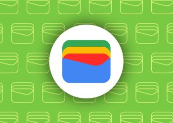 Google Wallet app logo on a white circular badge over a green wallet-pattern background