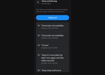 Meta app Voice activity log for Ray-Ban Meta glasses showing recorded voice entries